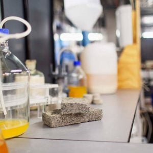 Bio-bricks made from human urine could be environmentally friendly future of architecture