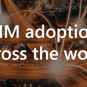 Bim across the world