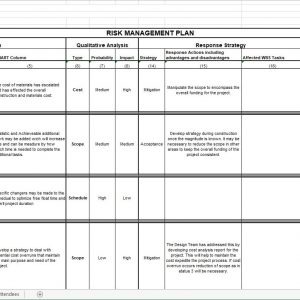 Risk Management Plan Spreadsheet