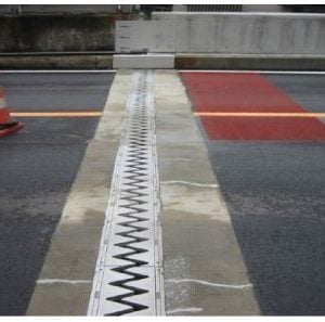 Bridge Expansion Joint Functions and Dynamic Behavior