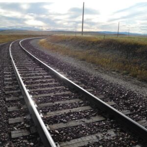 Hardwood Track Ties