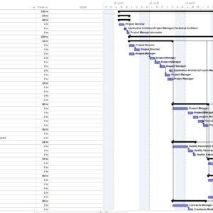 Project Management Plan MS Project Free Template